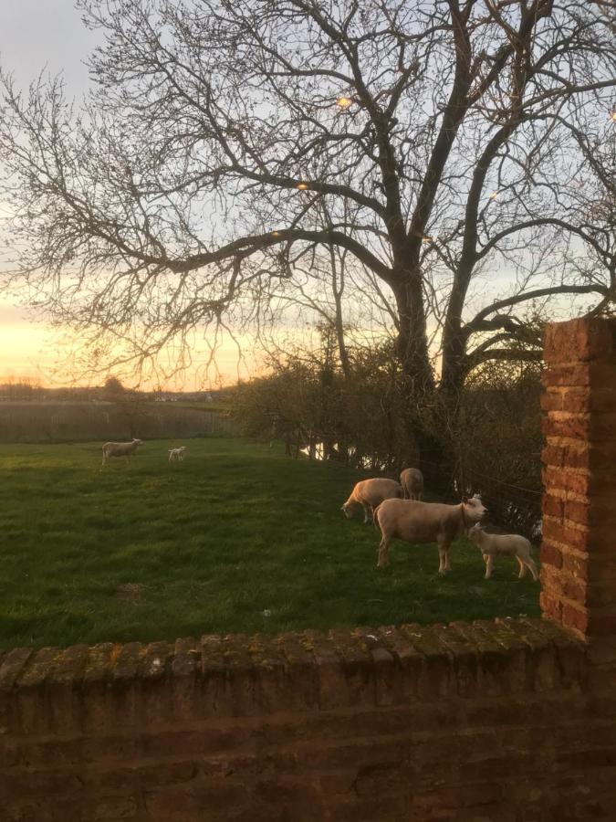 Kasteel Landgoed Crayenstein B&B Tricht Exteriör bild