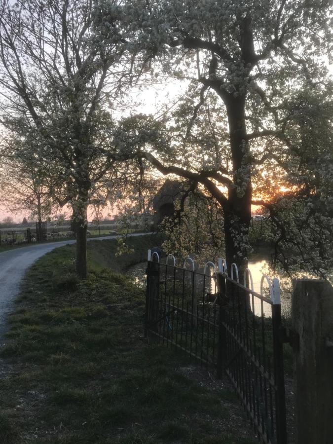 Kasteel Landgoed Crayenstein B&B Tricht Exteriör bild