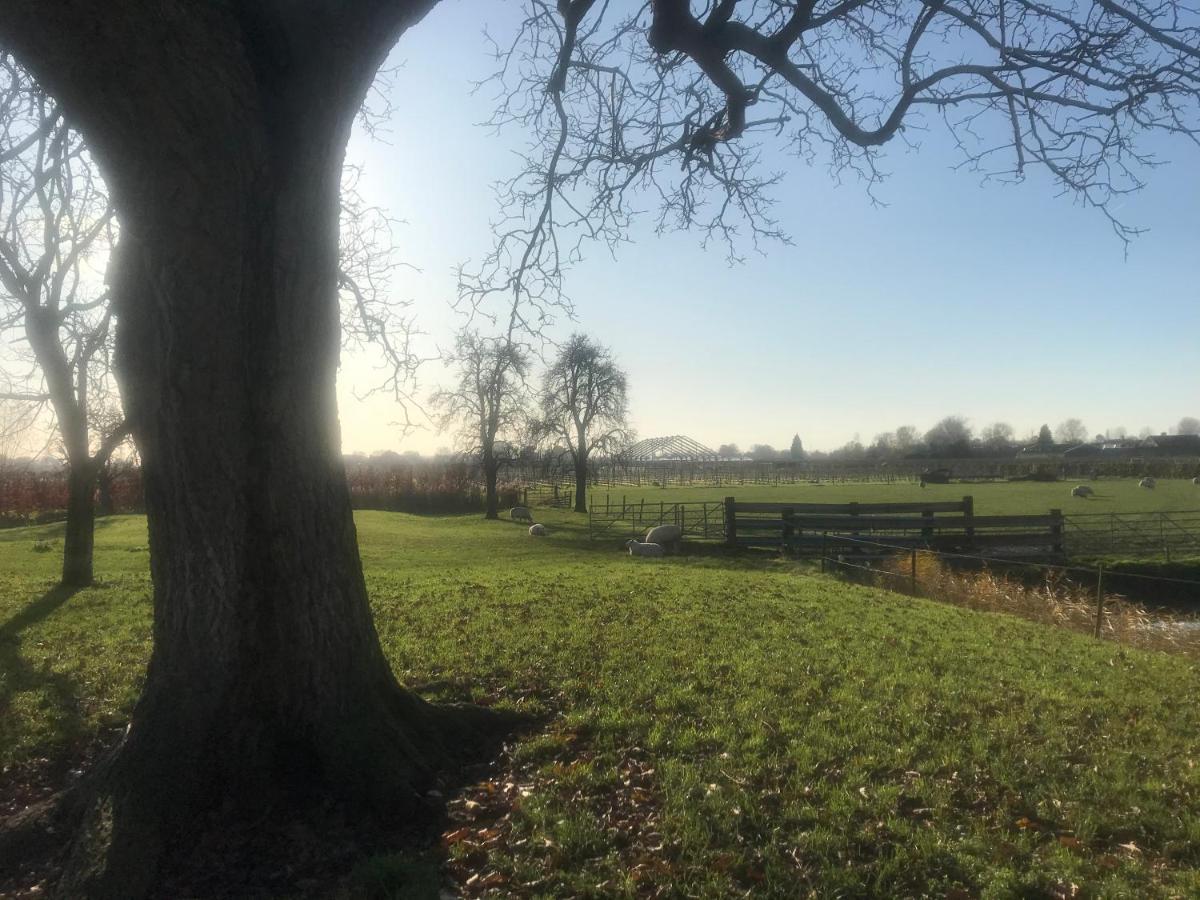 Kasteel Landgoed Crayenstein B&B Tricht Exteriör bild