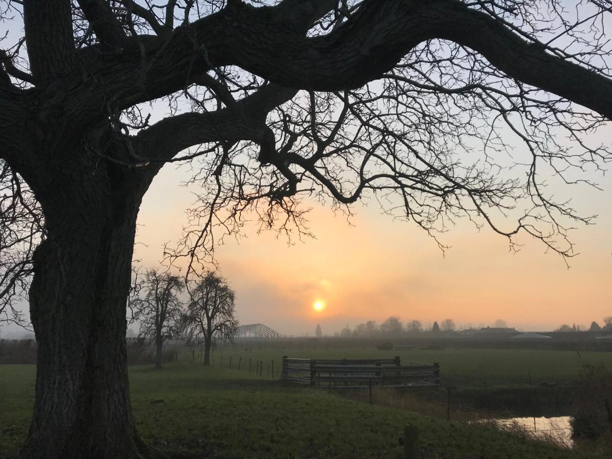 Kasteel Landgoed Crayenstein B&B Tricht Exteriör bild