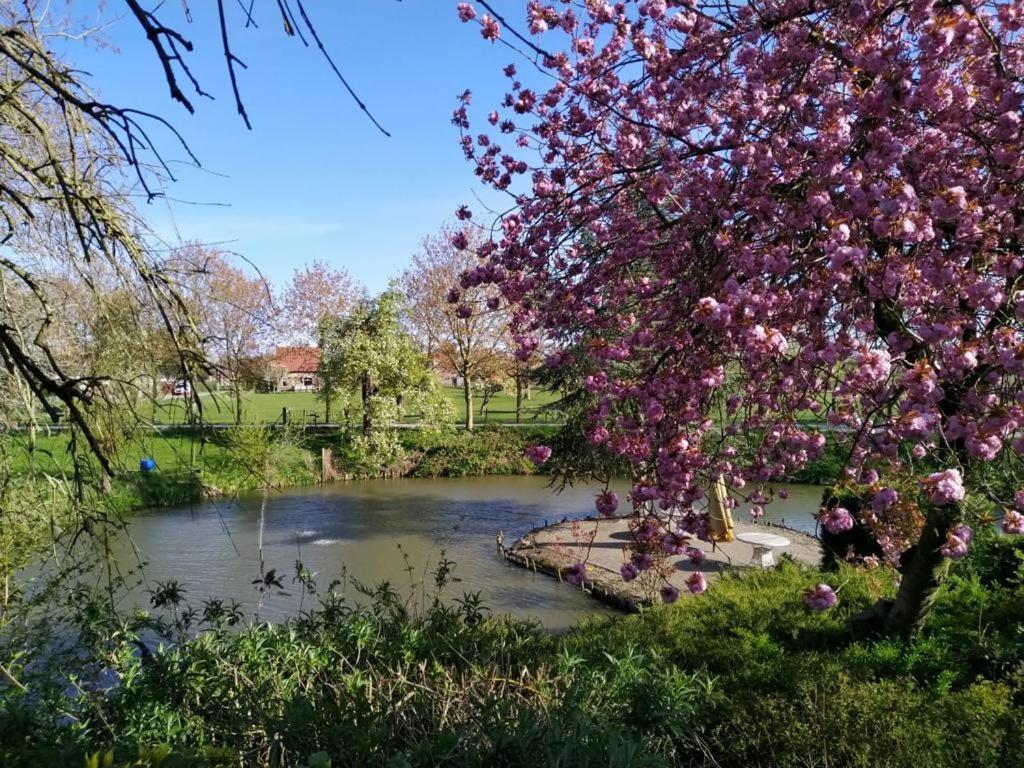 Kasteel Landgoed Crayenstein B&B Tricht Exteriör bild