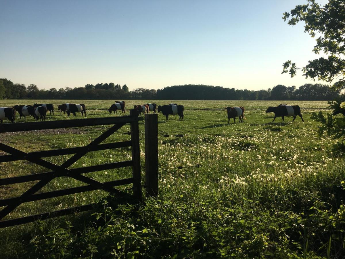 Kasteel Landgoed Crayenstein B&B Tricht Exteriör bild
